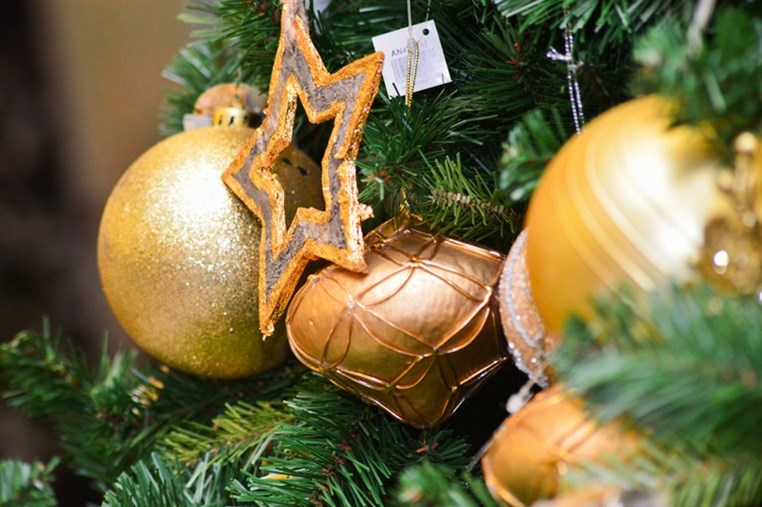 BHV Christmas Spell